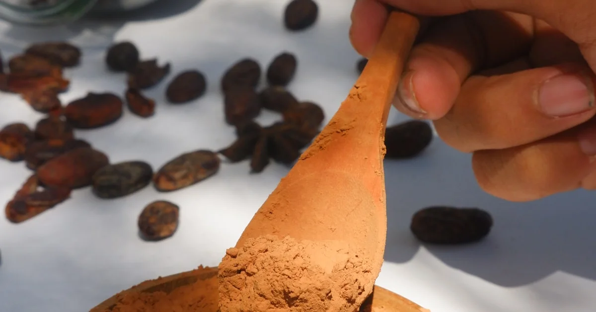 How Bean Fermentation Shapes Cocoa Powder Flavor