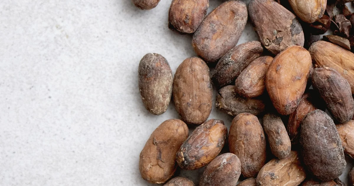 Building Long-Term Cocoa Supply Partnerships