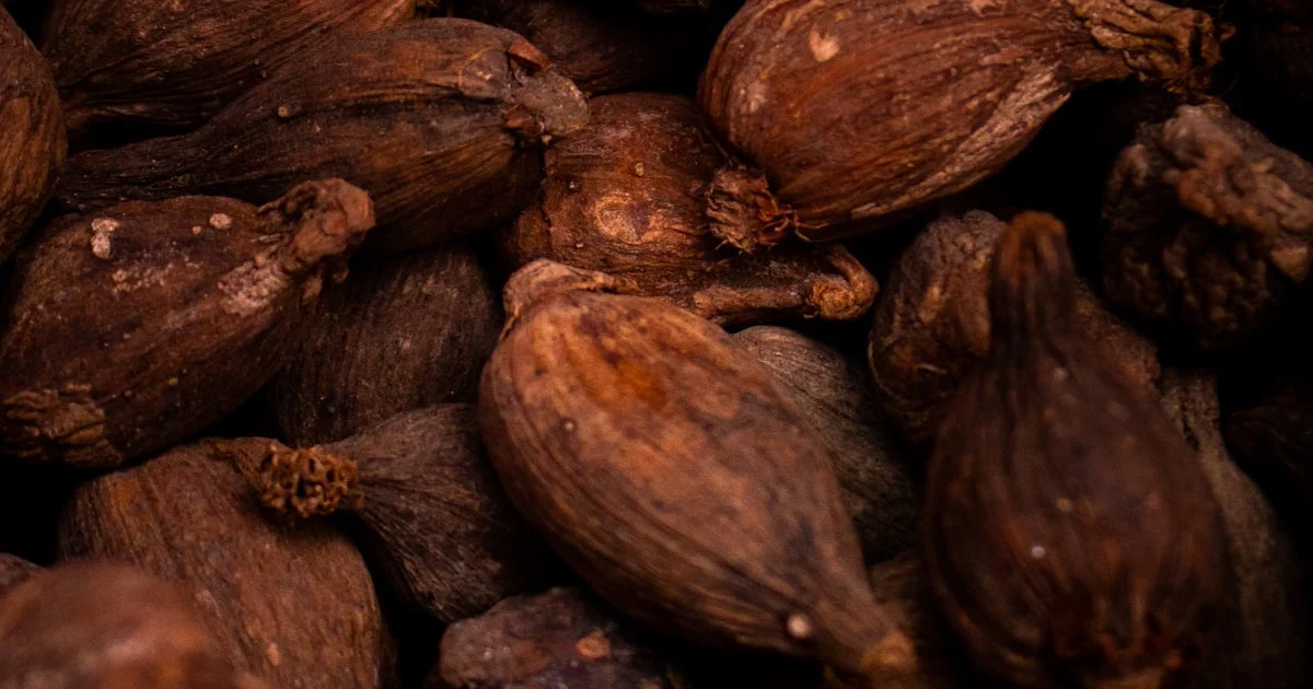 Cocoa Liquor, Butter, and Powder: Knowing the Three Products