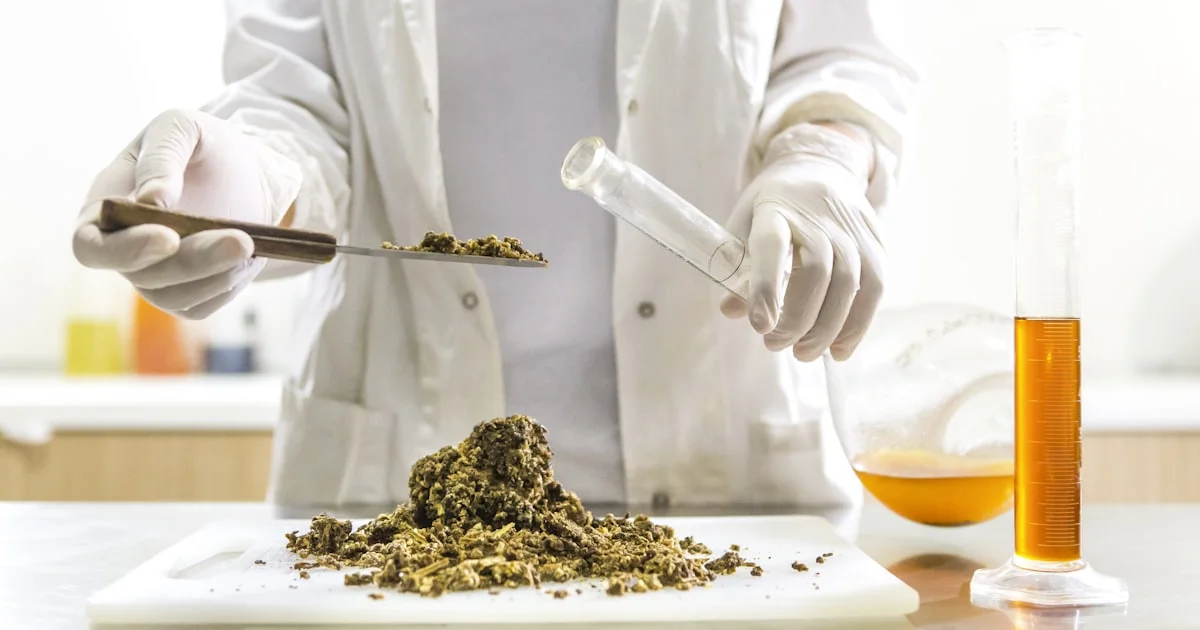 Export Documentation Every Cocoa Powder Importer Should Verify