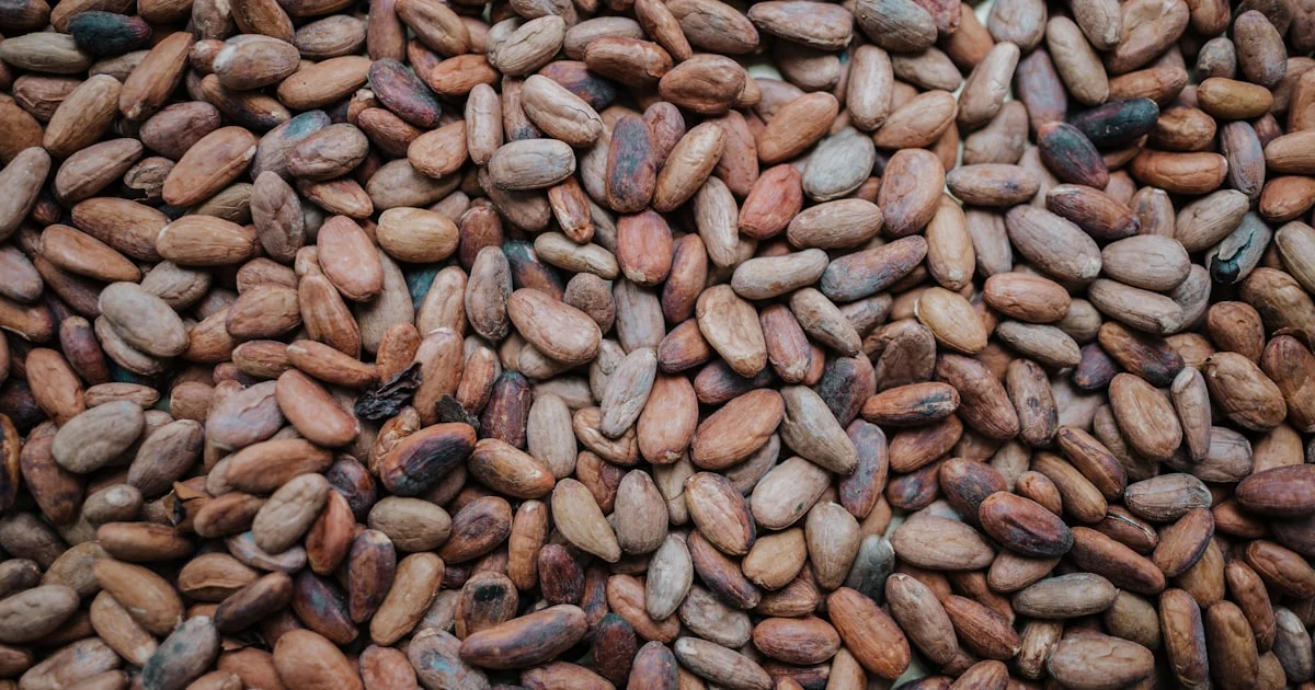 Food Safety Standards for Cocoa Powder Manufacturing