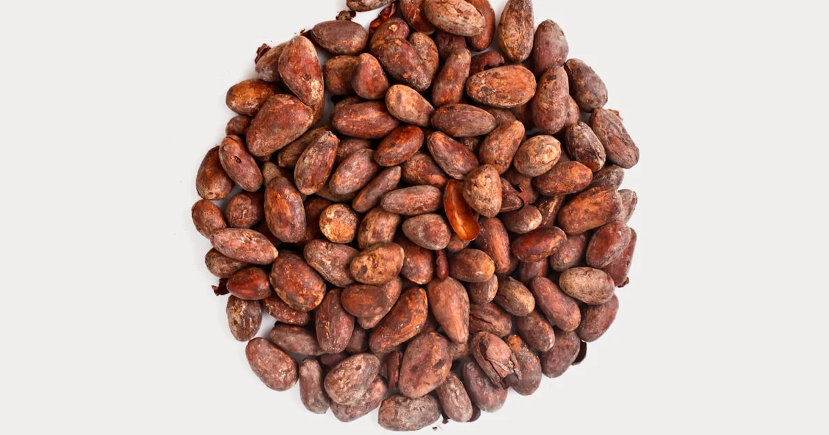 Particle Size and Fineness: Reading Cocoa Powder Micron Specs