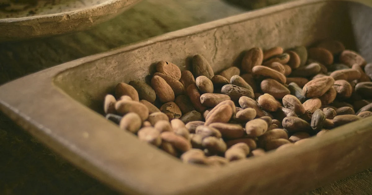 HACCP Principles Applied to Cocoa Powder Manufacturing