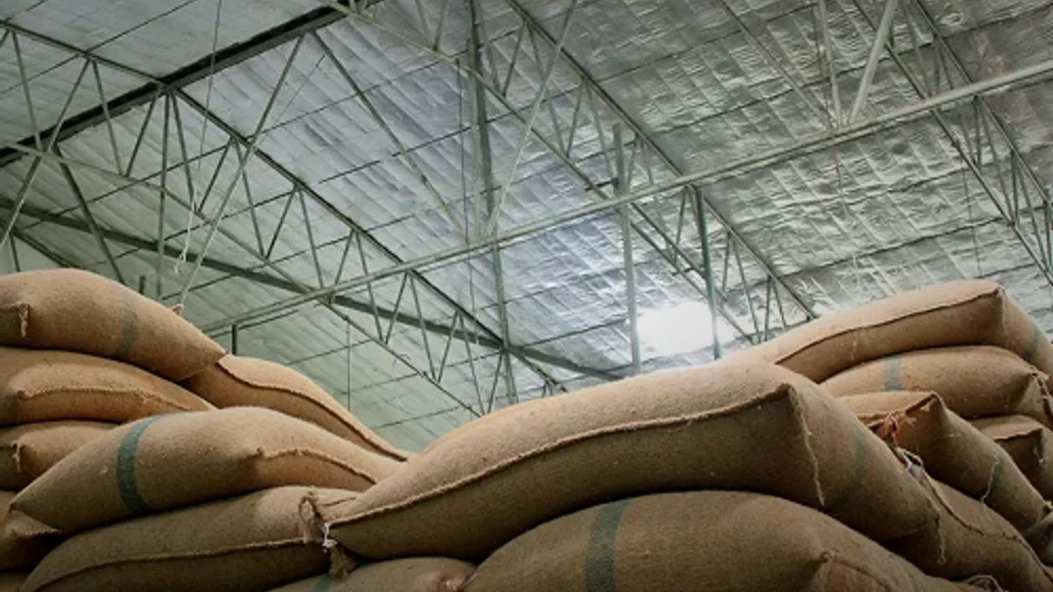 How to Store Cocoa Powder Properly to Maintain Quality