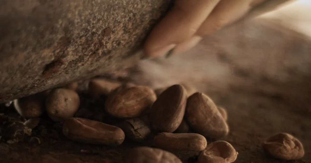 ISO 22000 and Food Safety Management in Cocoa Processing
