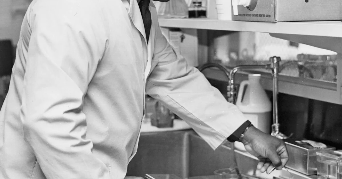Microbiological Safety in Cocoa Powder: Salmonella and Beyond