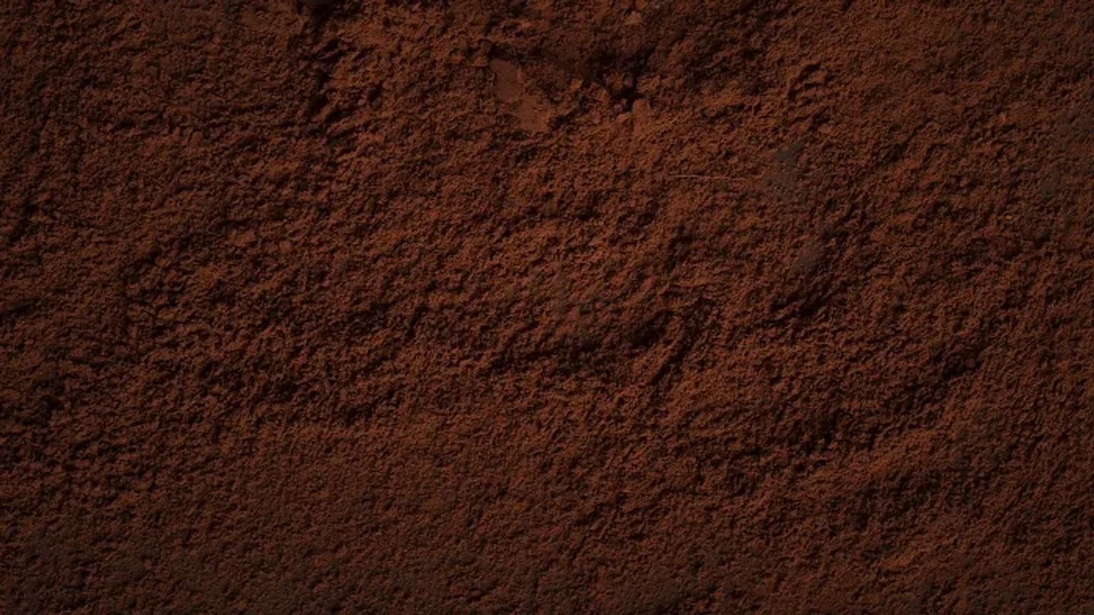 Natural vs Alkalized Cocoa Powder: What’s the Difference?