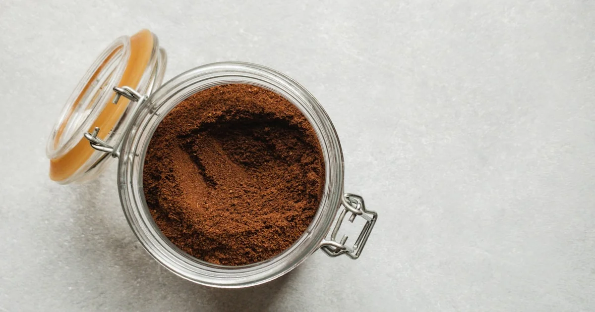 Organic, Fairtrade, and Rainforest Alliance: Choosing Certified Cocoa