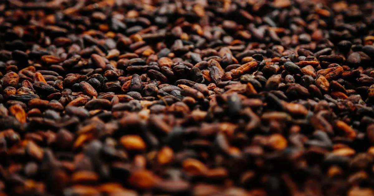 Private-Label Cocoa Powder: A Sourcing Guide for Brand Owners