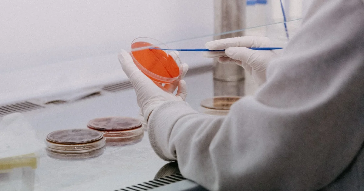 Shelf-Life Testing and Best-Before Dating for Cocoa Powder