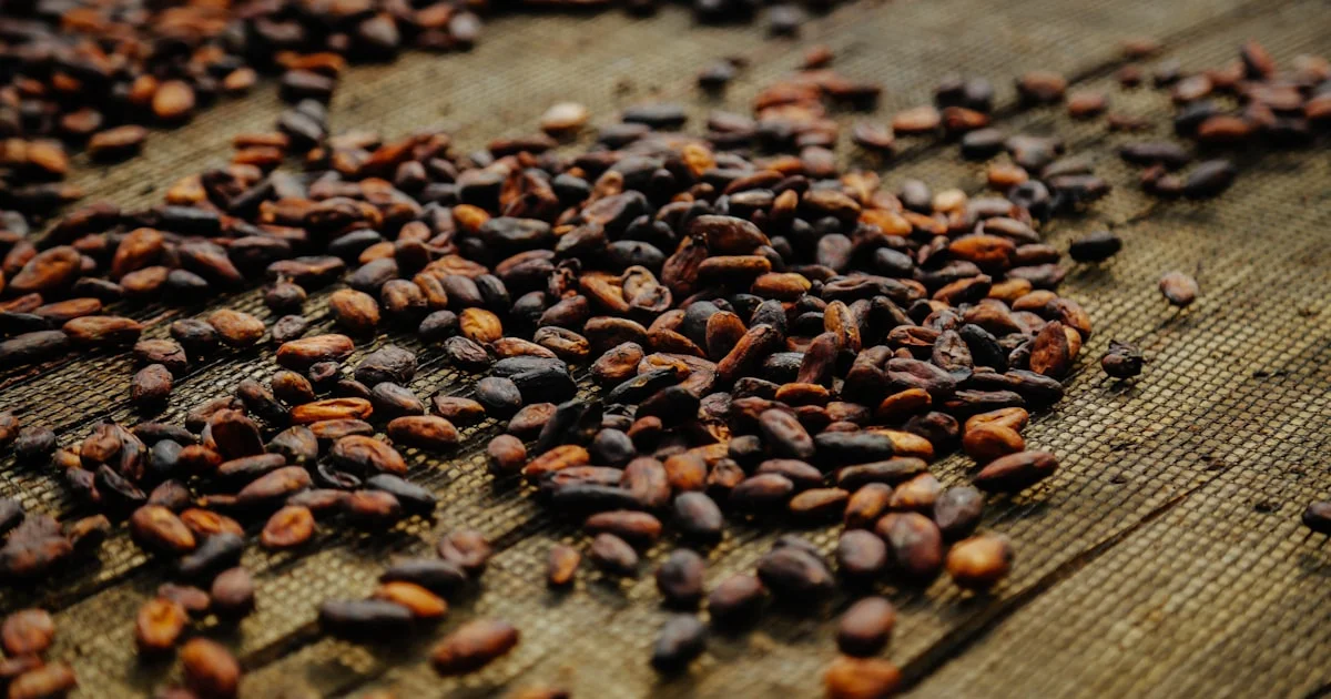 The Future of Indonesian Cocoa Powder in Global Export Markets