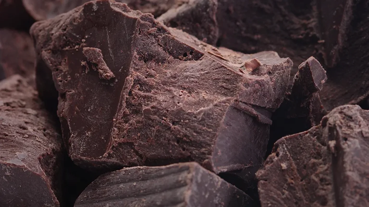 Top Industries That Use Cocoa Powder in Their Products