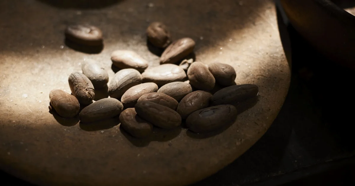 Understanding Seasonal Cocoa Price and Crop Cycles