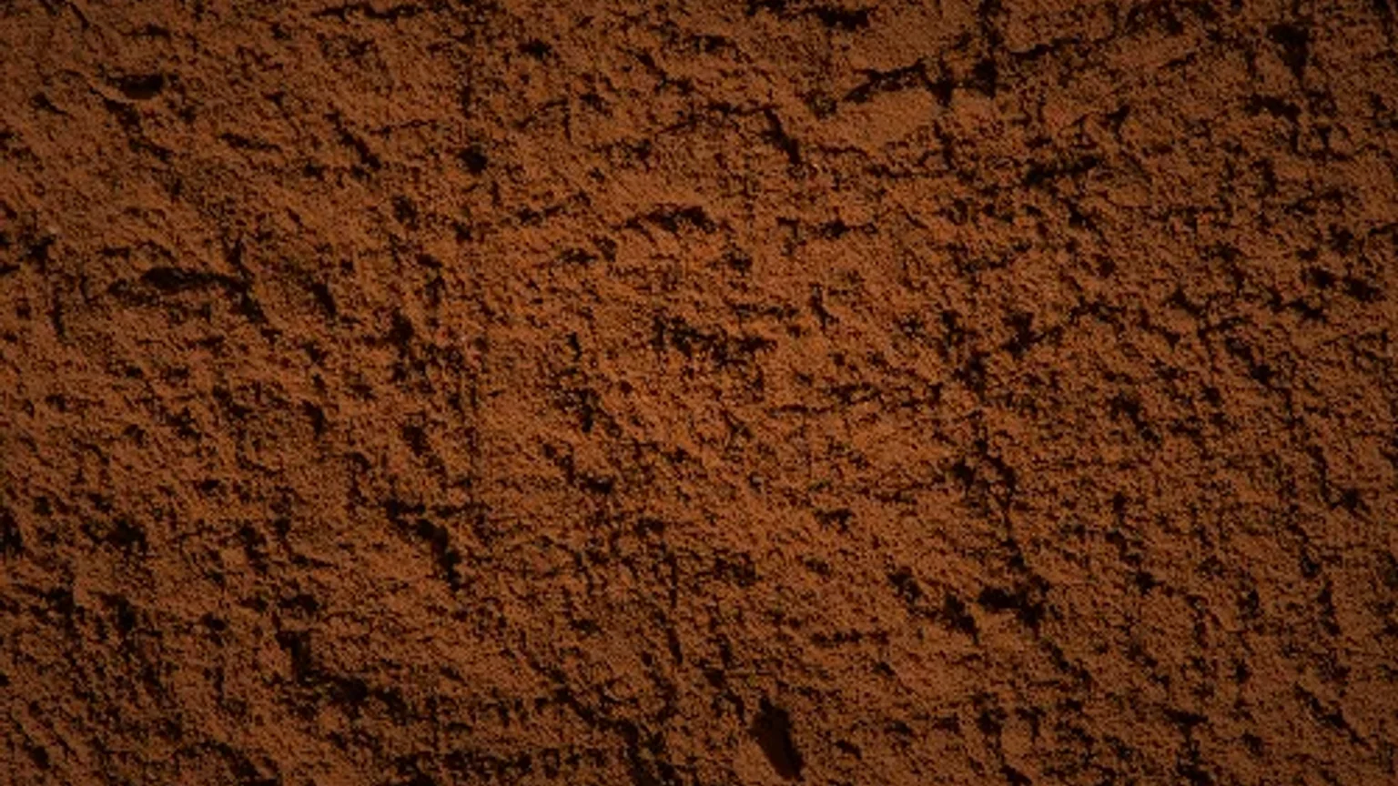 What is Cocoa Powder? Types, Processing, and Global Uses